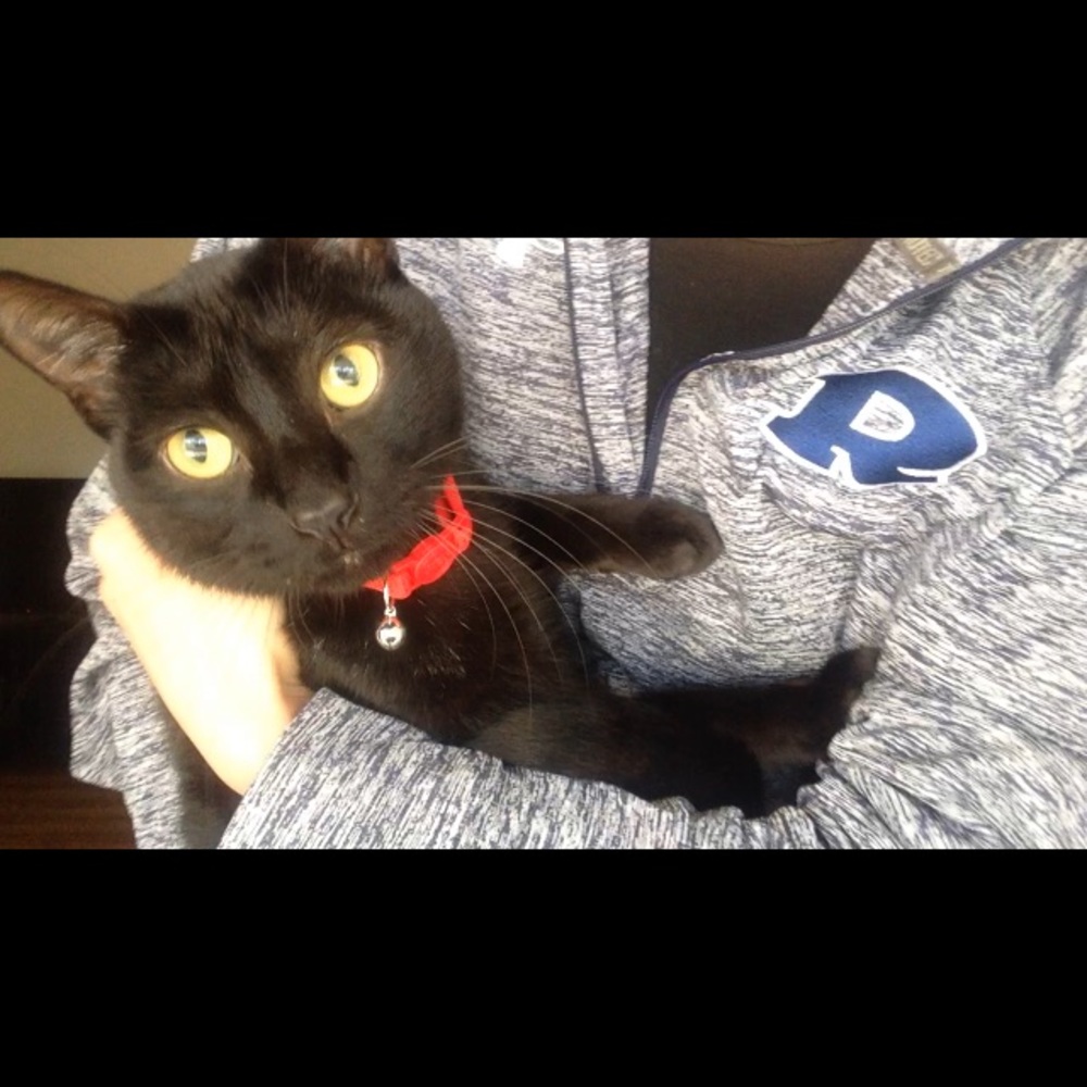 Meet your Posher, Selena